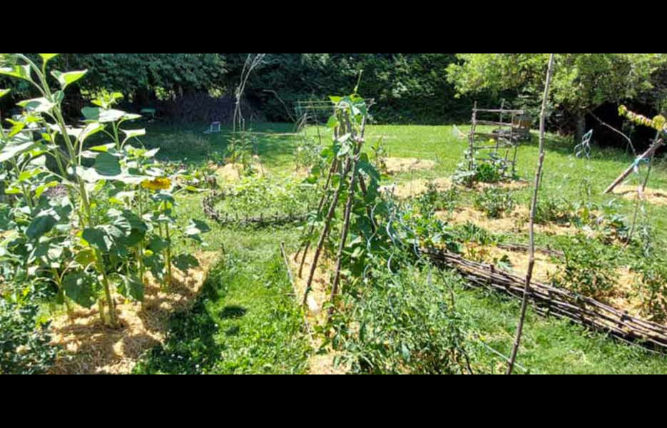 Gîte Le Pré Charville - Activités & Loisirs Le potager