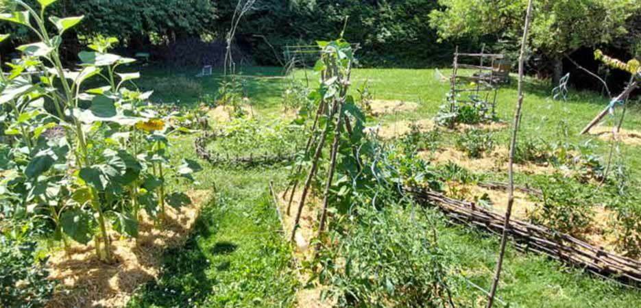 Gîte Le Pré Charville - Activités & Loisirs Le potager